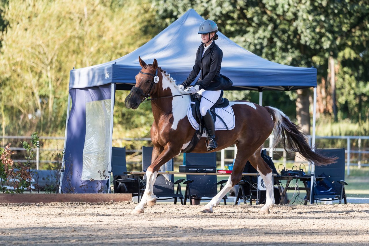 Bild 64 - Pony Akademie Turnier